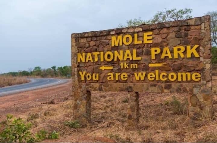 "Mole