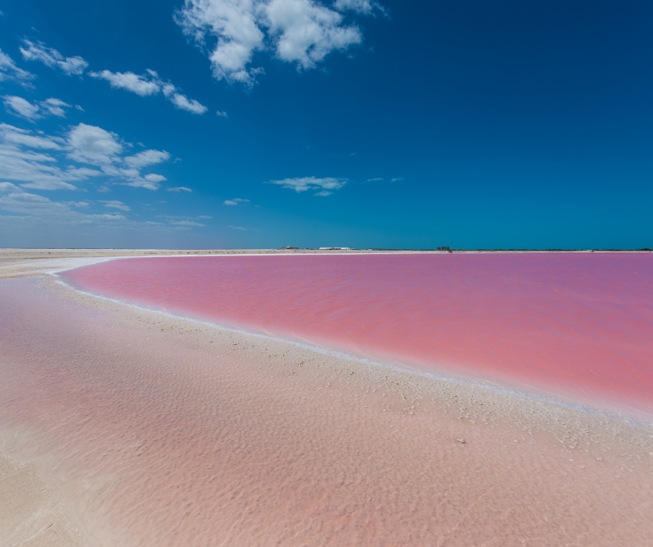 Pink Lake Senegal - continent Tours
