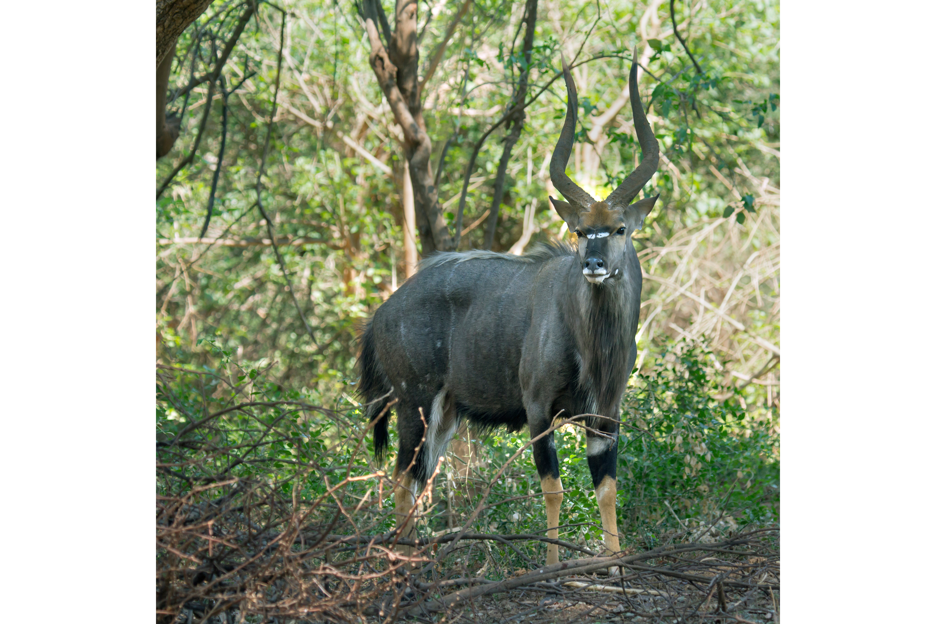 Chimanimani National Park, Mozambique