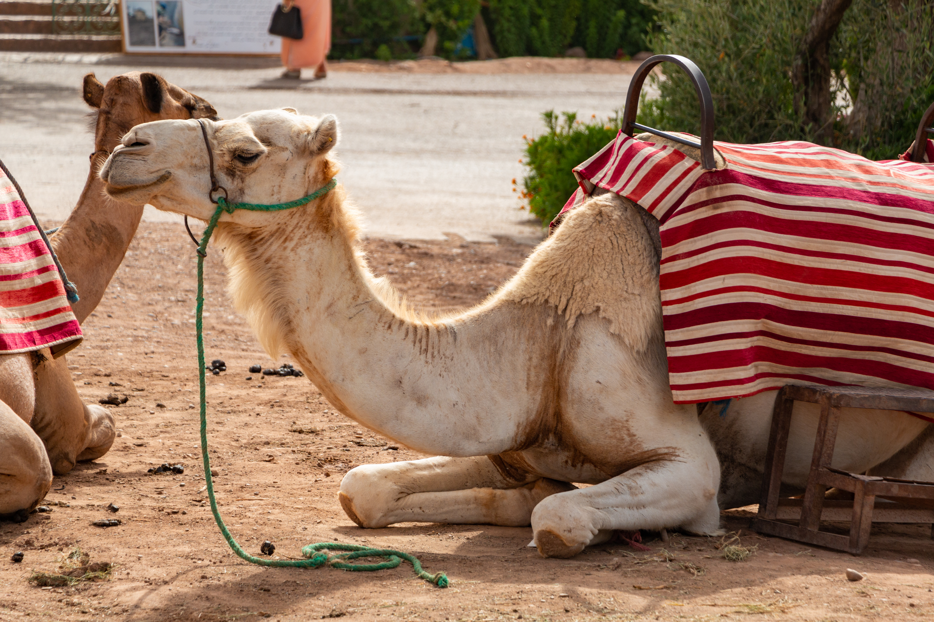 Morocco
