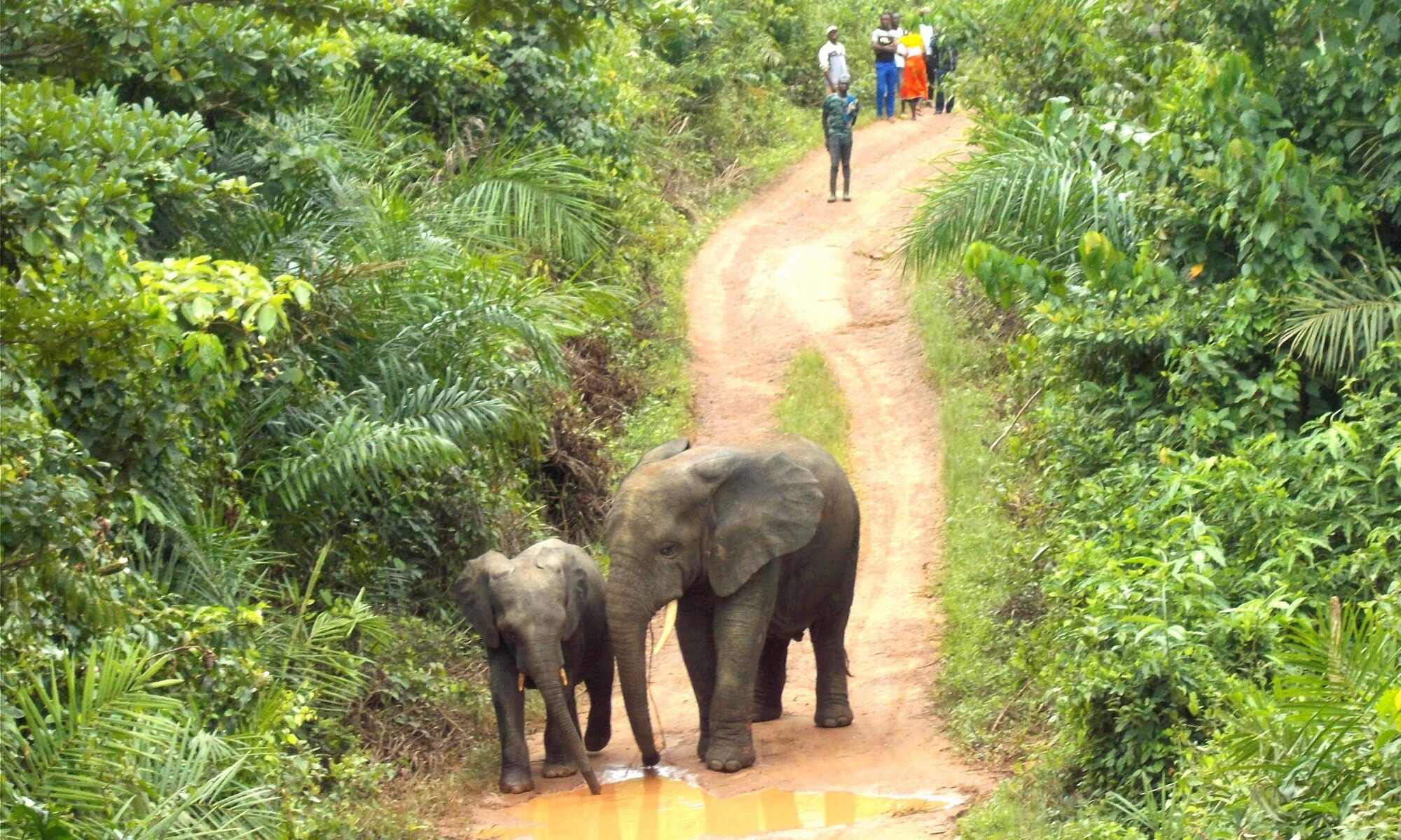 Unexplored West Africa - Continent Tours 